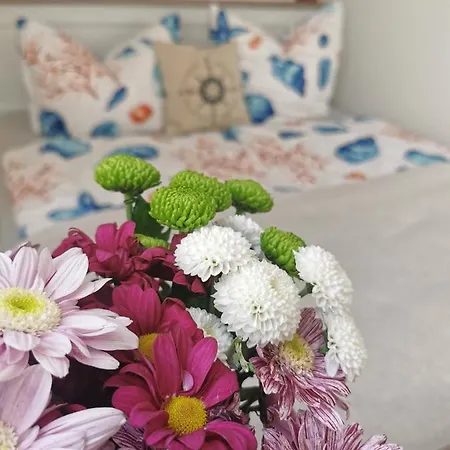 Usedom Ostsee Apartment Wolgast