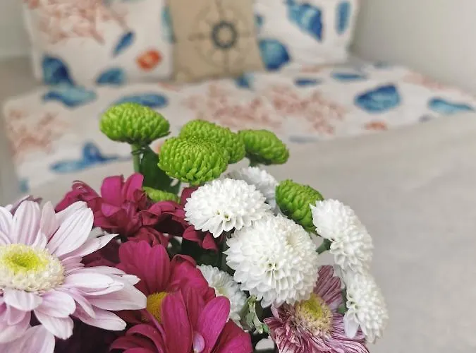 Usedom Ostsee Apartament Wolgast